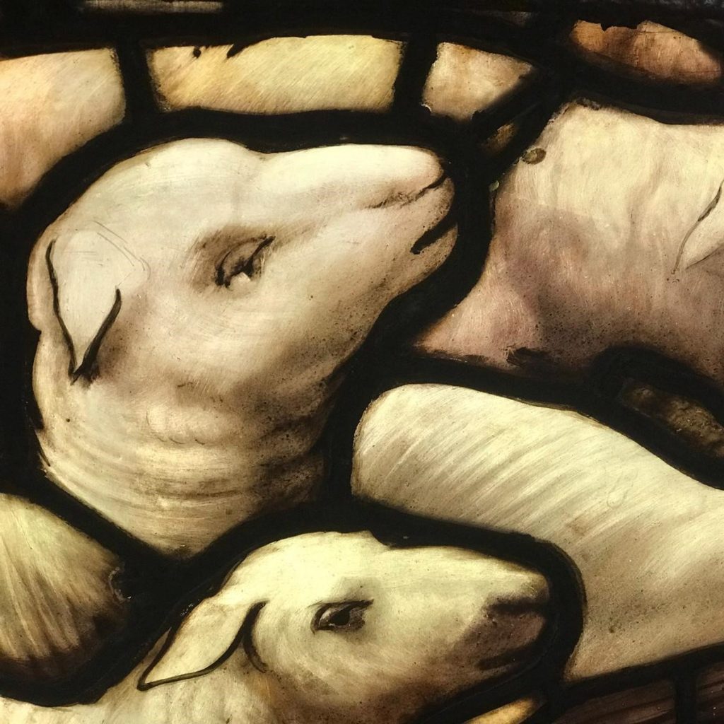 A close up of sheep from The Nativity window.